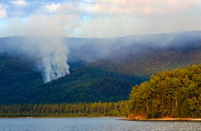 Вырубить лес возле Байкала