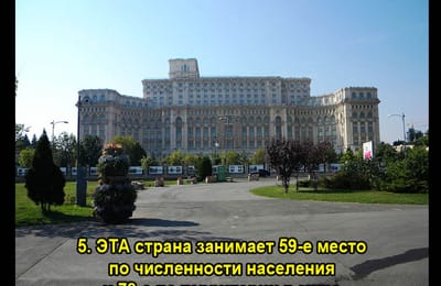 Золотой теленок_игра №371
