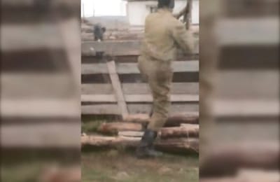 Актеры с оружием в руках задержали похитителей овец