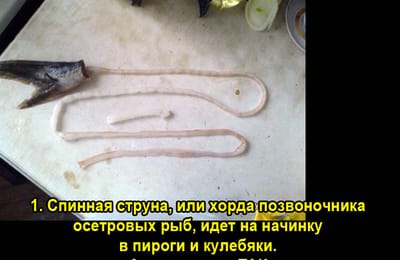 Золотой теленок_игра №379