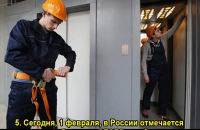 Золотой теленок_игра №390