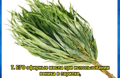 Золотой теленок_игра №393 (М+Ж)