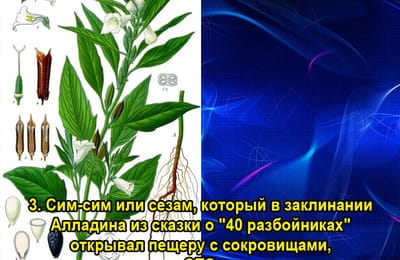 Золотой теленок_игра №399