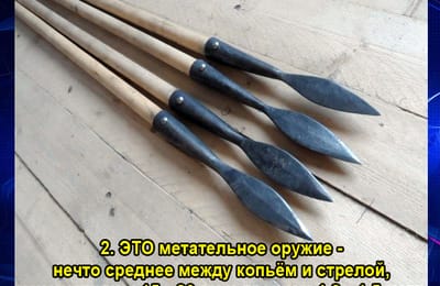 Золотой телёнок_игра №406