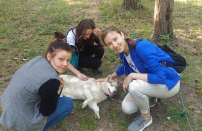 Поездка в питомник К9