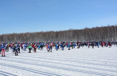 Коллектив АНХК принял массовое участие в «Лыжне России»