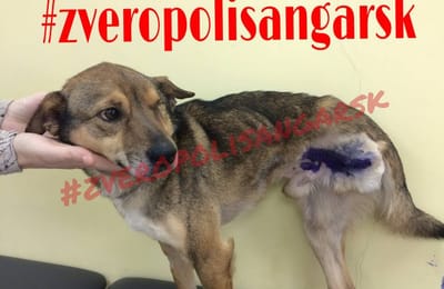 ВНИМАНИЕ! Мошенники украли фотографию нашего пациента и собирают деньги у доверчивых людей :-(
