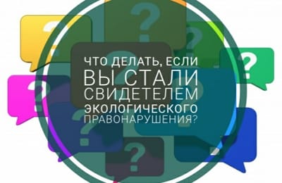 Что делать, если мусор вывозят невовремя?