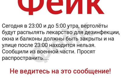 Валентина Вобликова: Информация об обработке городских улиц с вертолета для дезинфекции не соответствует действительности
