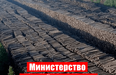 Министерство лесной коррупции