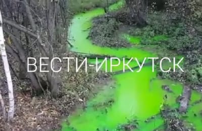 Иркутяне пожаловались на ярко-зеленый ручей в микрорайоне Топкинский
