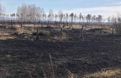 В Иркутской области зафиксирован и ликвидирован первый в 2021 году лесной пожар