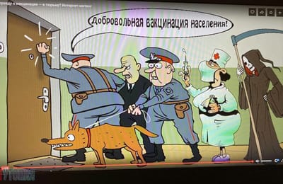 Веткнижка гражданина РФ: Минздрав утвердил аусвайс с QR-кодом для уколотых
