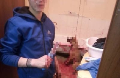 В Зиме возбудили уголовное дело из-за жестокого убийства собаки (+ видео)