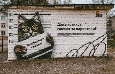Даже котиков сажают за наркотики