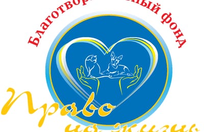 Приют Право на жизнь