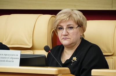 Вице-спикер ЗС Иркутской области предложила сократить расходы на новогодние праздники