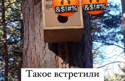 Наркоскворечник