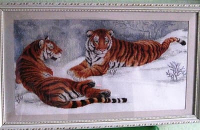Амурские тигры. Процесс вышивки крестиком.