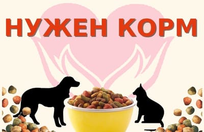 Приют для бездомных животных "Планета добра"