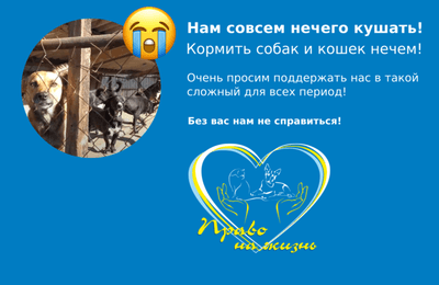 Передержка для бездомных животных "Право на жизнь" нуждается в помощи.