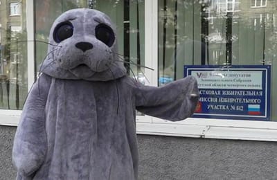 В Иркутске проголосовала байкальская нерпа