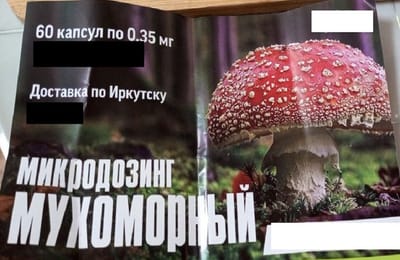 Жители Иркутска обеспокоены появившимися листовками с рекламой препаратов на основе мухоморов