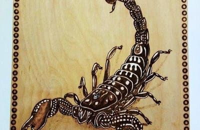 Выжигание . Разделочная доска. Скорпион для внука.