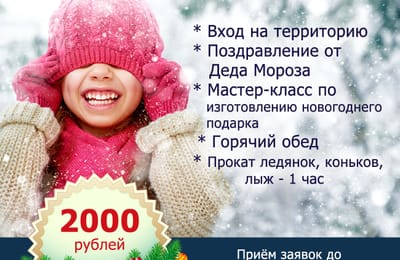 ❄ ДЕТСКАЯ НОВОГОДНЯЯ ПРОГРАММА в музее #ЛУКОМОРЬЕ! ❄