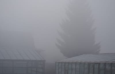 Власти без дыма не бывает