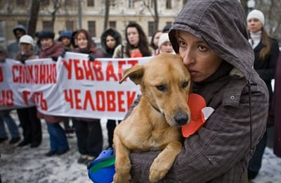 Догхантеры: герои или убийцы?