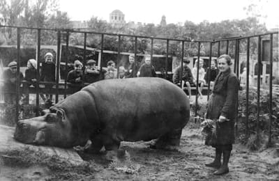 Ещё один подвиг, который достоин памяти.