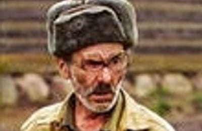 Агрессия, как часто вы сталкиваетесь....