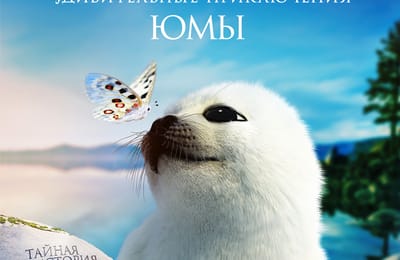 Ангарчане увидят первыми документальный фильм о приключениях нерпёнка Юмы.