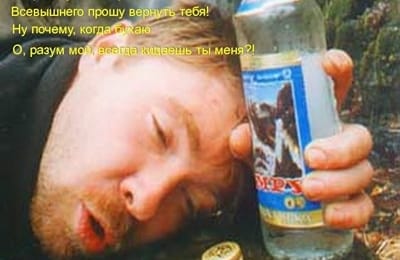 Ученые: алкоголизм – залог успешного брака