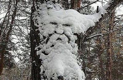 Наступила зима "НЕЖДАННО"???!!!