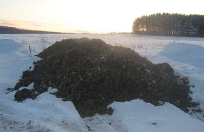 Нужен ли климатконтроль Рогову? И нужен ли Рогов Бюджету?