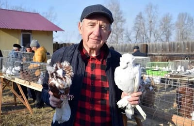 Выставка голубей Иркутской области состоялась в Ангарске