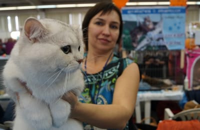 Международная выставка кошек открылась в "Сибэкспоцентре" в Иркутске