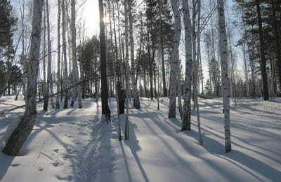 Зима 2016, февраль