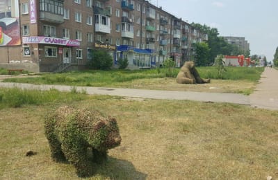 Ландшафтный дизайн в Ангарске