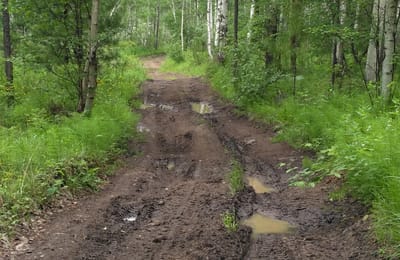 один день в окрестностях Листвянки