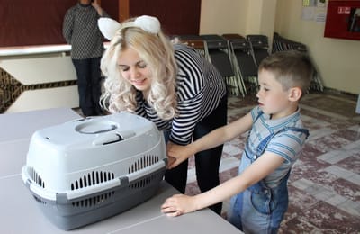 Котиков вам в ленту!