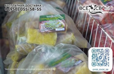 День за днём. Выпуск от 20.03.2025