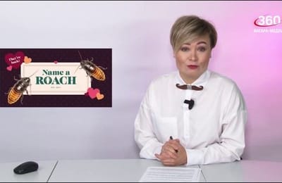 Другие новости. Выпуск от 24.01.2025.