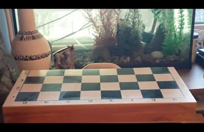 Играем в шахматы.