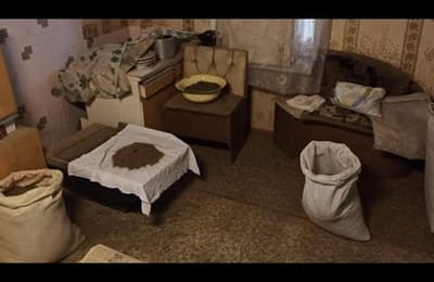 Более 40 килограммов дикорастущей конопли обнаружили полицейские у жителя села Новожилкино