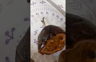 Маракуя с плесенью. Можно ли есть такую?