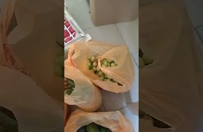 Фруктовые покупки с Фудсити. Цены шокировали сибиряка