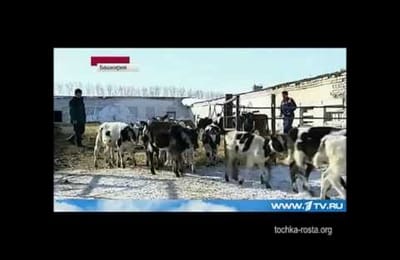 Вместо денег - талоны: феномен Шаймуратово